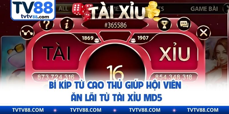 Bí kíp từ cao thủ giúp hội viên ăn lãi từ tài xỉu MD5