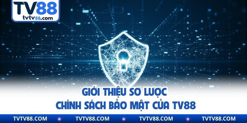 Giới thiệu sơ lược chính sách bảo mật của TV88