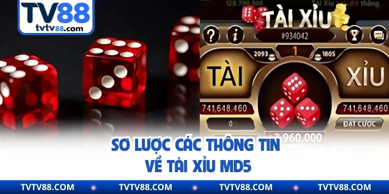 Sơ lược các thông tin về tài xỉu MD5