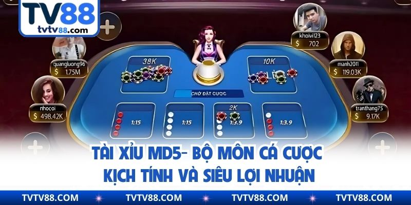 Tài Xỉu MD5 - Bộ Môn Cá Cược Kịch Tính Và Siêu Lợi Nhuận
