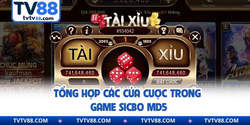 Tổng hợp các cửa cược trong game sicbo MD5